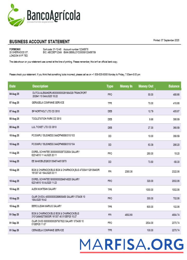 Printable Banco Agricola business account statement Word and PDF template